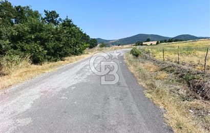 BİGA SAZOBA KÖYÜNDE 1900 M2 TARIM ARAZİSİ