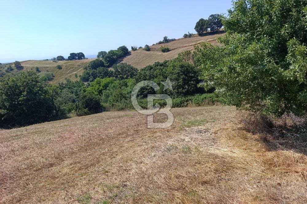 BİGA SAZOBA KÖYÜNDE 1900 M2 TARIM ARAZİSİ
