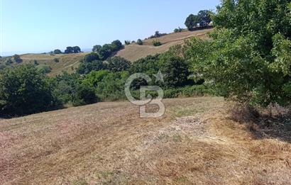 BİGA SAZOBA KÖYÜNDE 1900 M2 TARIM ARAZİSİ
