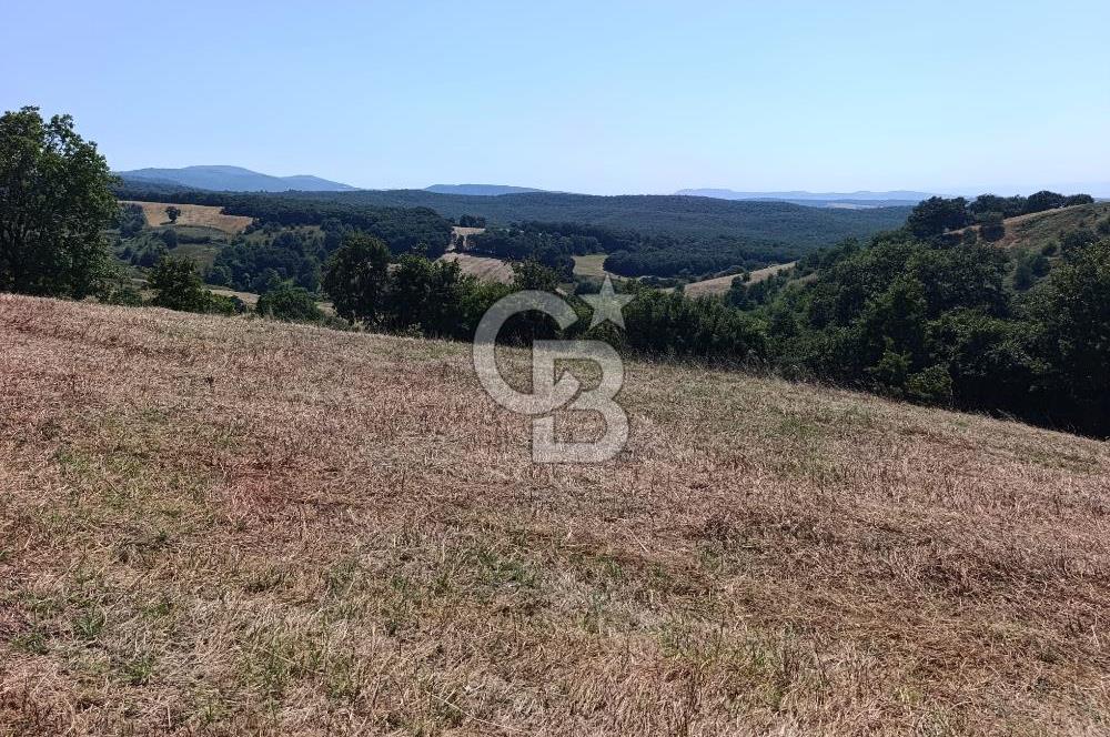 BİGA SAZOBA KÖYÜNDE 1900 M2 TARIM ARAZİSİ