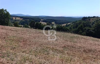 BİGA SAZOBA KÖYÜNDE 1900 M2 TARIM ARAZİSİ