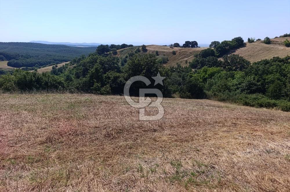BİGA SAZOBA KÖYÜNDE 1900 M2 TARIM ARAZİSİ