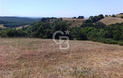 BİGA SAZOBA KÖYÜNDE 1900 M2 TARIM ARAZİSİ
