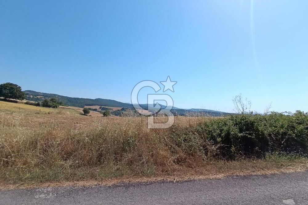 BİGA SAZOBA KÖYÜNDE 1900 M2 TARIM ARAZİSİ