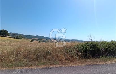 BİGA SAZOBA KÖYÜNDE 1900 M2 TARIM ARAZİSİ
