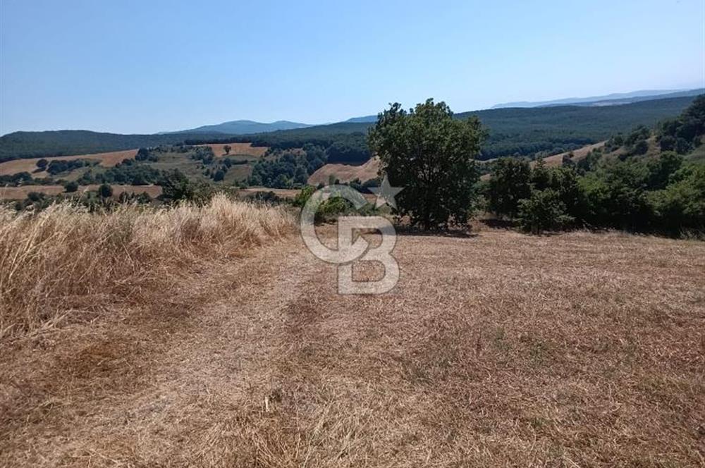 BİGA SAZOBA KÖYÜ 3800 M2 TARLA