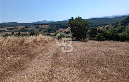 BİGA SAZOBA KÖYÜ 3800 M2 TARLA