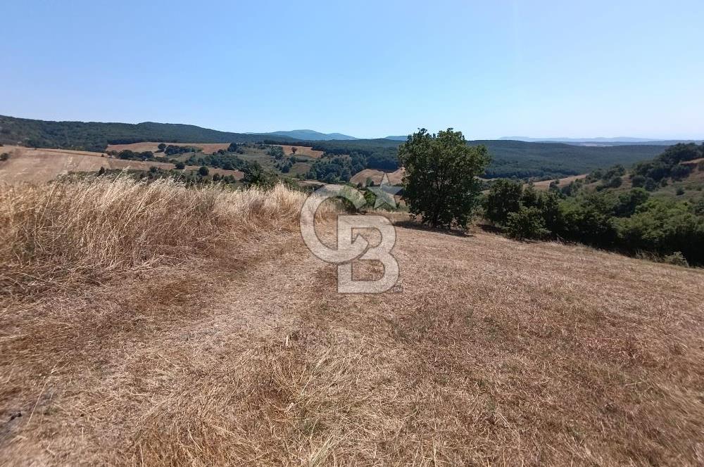 BİGA SAZOBA KÖYÜ 3800 M2 TARLA