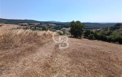 BİGA SAZOBA KÖYÜ 3800 M2 TARLA