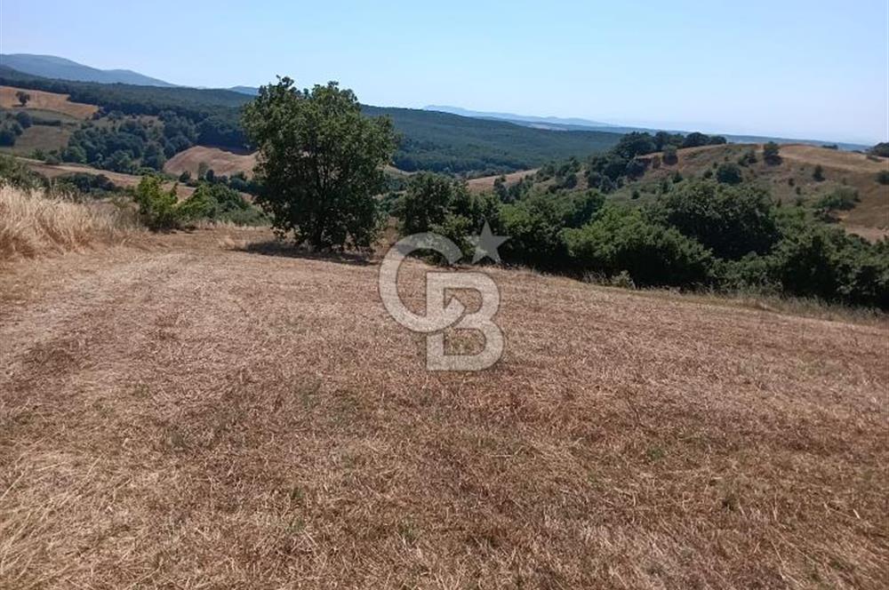 BİGA SAZOBA KÖYÜ 3800 M2 TARLA
