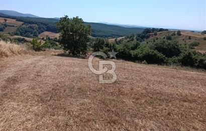BİGA SAZOBA KÖYÜ 3800 M2 TARLA