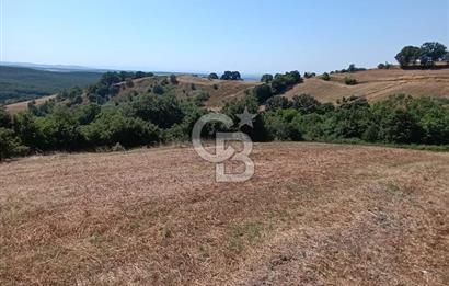 BİGA SAZOBA KÖYÜ 3800 M2 TARLA