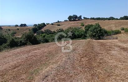 BİGA SAZOBA KÖYÜ 3800 M2 TARLA