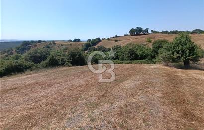 BİGA SAZOBA KÖYÜ 3800 M2 TARLA