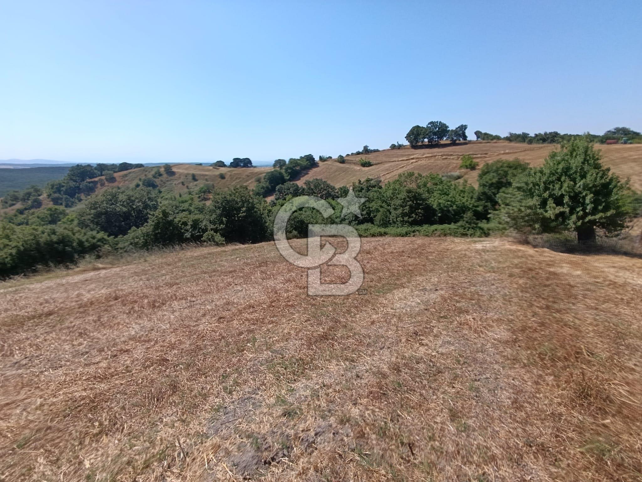 BİGA SAZOBA KÖYÜNDE 1900 M2 TARIM ARAZİSİ