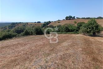 BİGA SAZOBA KÖYÜNDE 1900 M2 TARIM ARAZİSİ - 1 - 357725