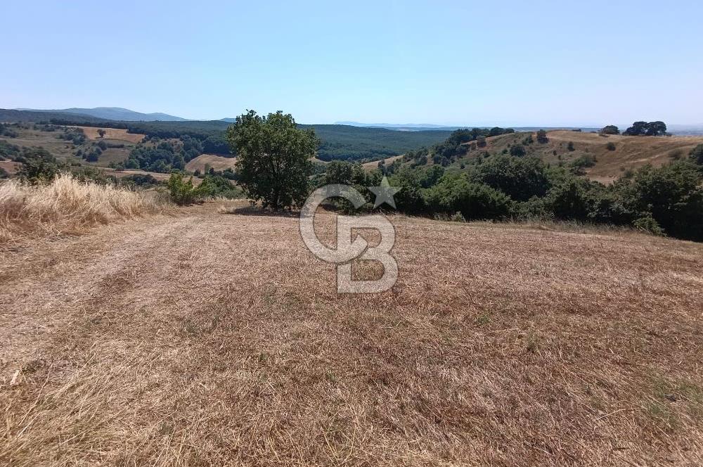 BİGA SAZOBA KÖYÜ 3800 M2 TARLA