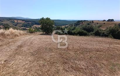 BİGA SAZOBA KÖYÜ 3800 M2 TARLA
