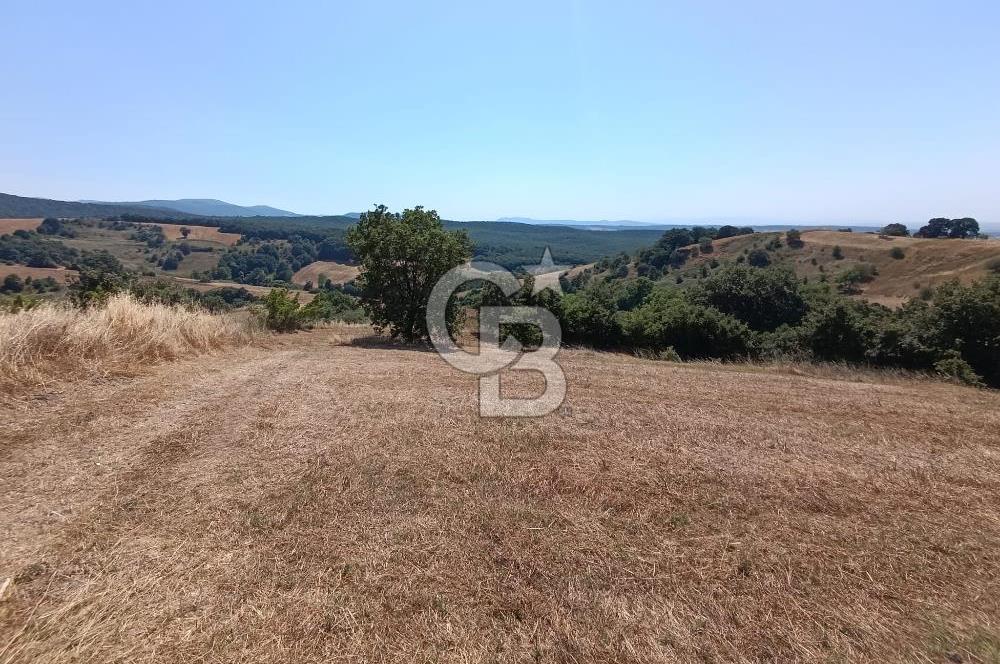 BİGA SAZOBA KÖYÜ 3800 M2 TARLA
