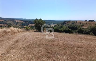 BİGA SAZOBA KÖYÜ 3800 M2 TARLA