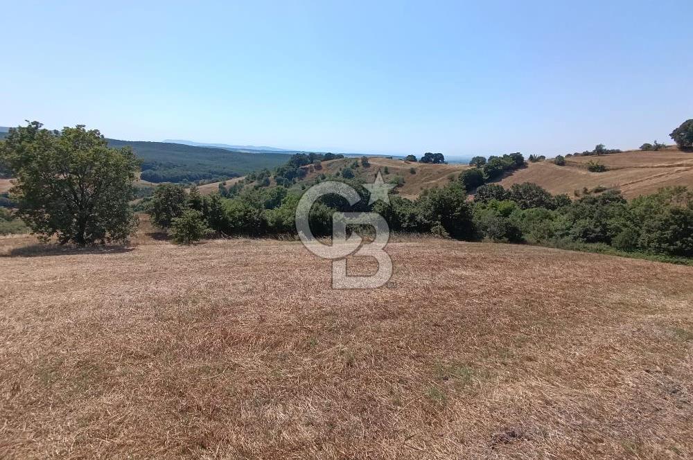 BİGA SAZOBA KÖYÜ 3800 M2 TARLA