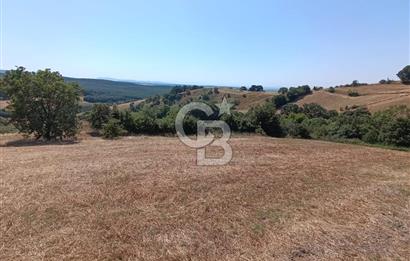 BİGA SAZOBA KÖYÜ 3800 M2 TARLA