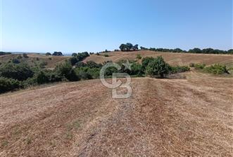 BİGA SAZOBA KÖYÜ 3800 M2 TARLA - 2 - 357723