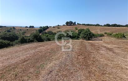 BİGA SAZOBA KÖYÜ 3800 M2 TARLA