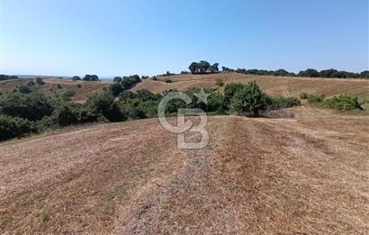 BİGA SAZOBA KÖYÜ 3800 M2 TARLA