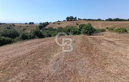 BİGA SAZOBA KÖYÜ 3800 M2 TARLA