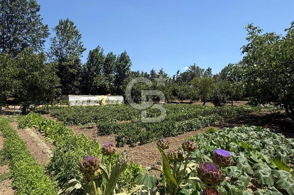 ÇATALCA'DA KAÇIRILMAYACAK FIRSAT! 8.800 m² KURULU ÇİFTLİK