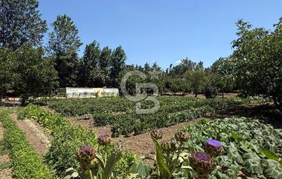 ÇATALCA'DA KAÇIRILMAYACAK FIRSAT! 8.800 m² KURULU ÇİFTLİK