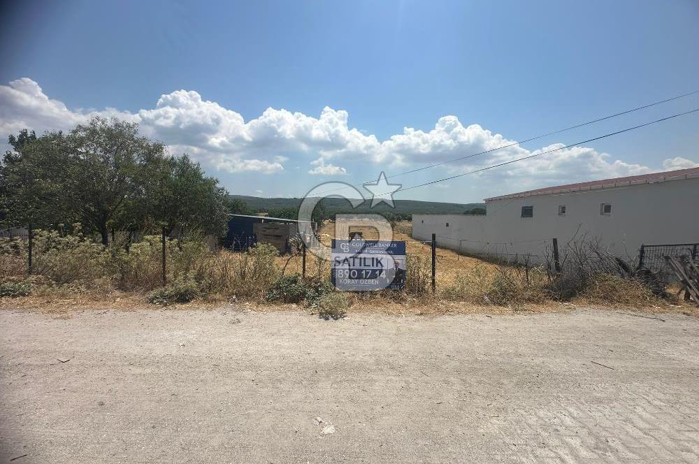Geyikli Mecidiye Köyü'nde Villa İmarlı 1.812 m² Satılık Arsa