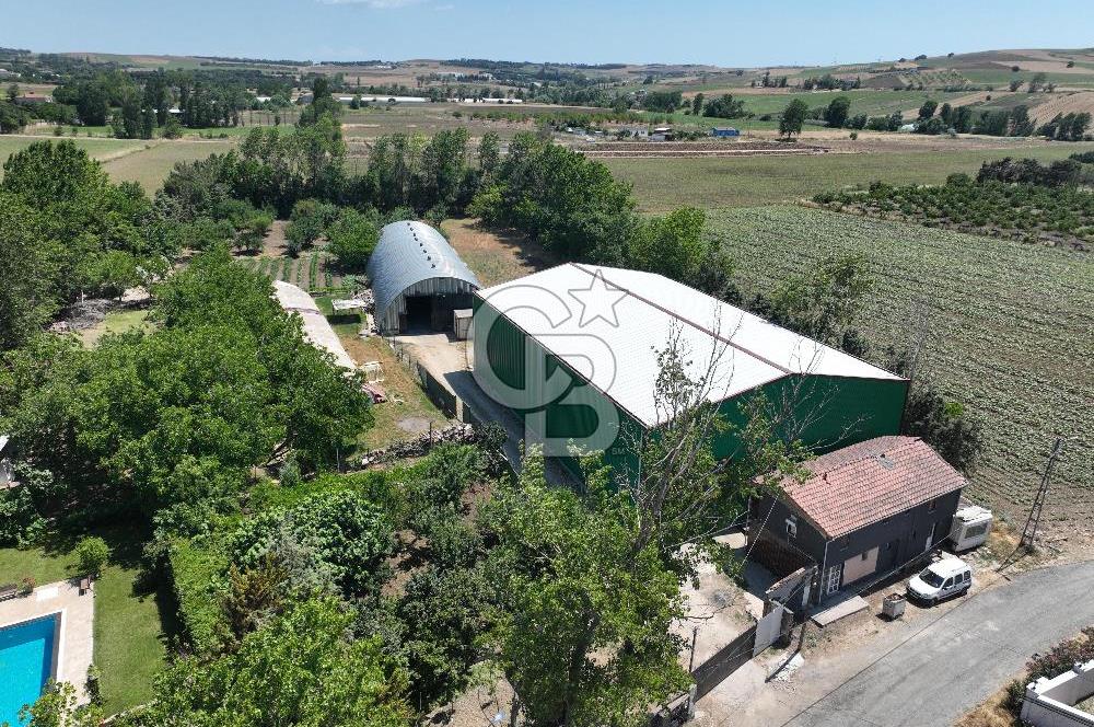ÇATALCA'DA KAÇIRILMAYACAK FIRSAT! 8.800 m² KURULU ÇİFTLİK