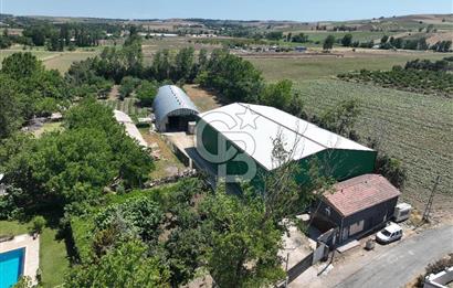 ÇATALCA'DA KAÇIRILMAYACAK FIRSAT! 8.800 m² KURULU ÇİFTLİK
