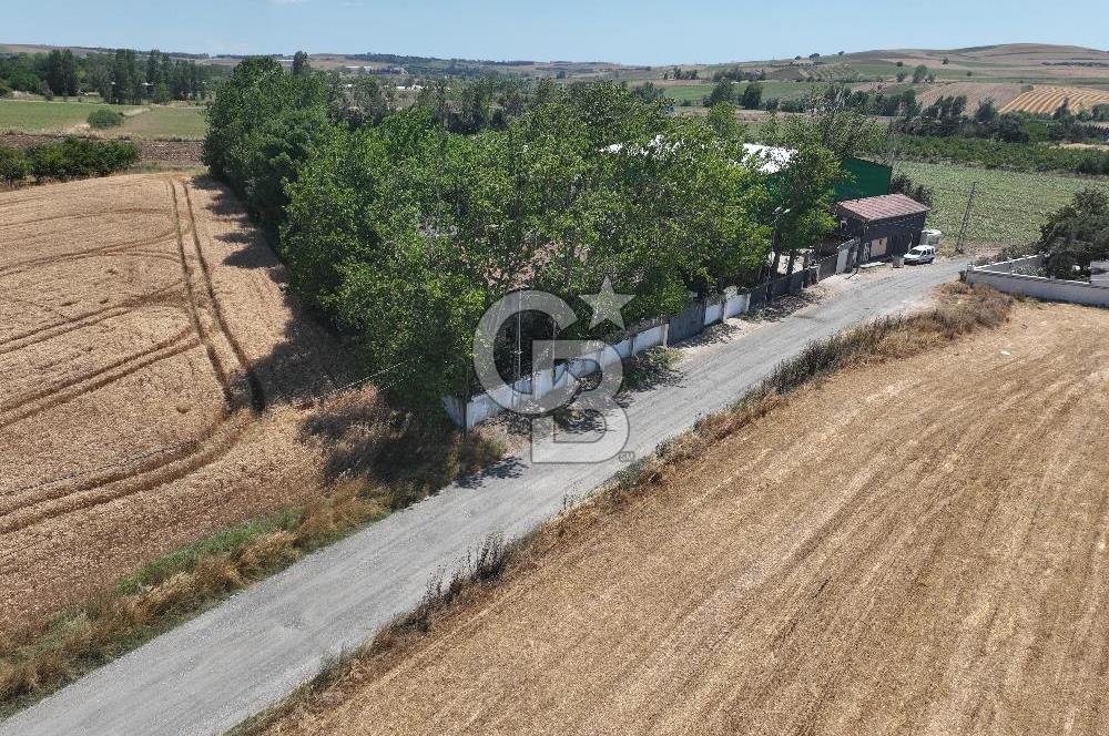 ÇATALCA'DA KAÇIRILMAYACAK FIRSAT! 8.800 m² KURULU ÇİFTLİK