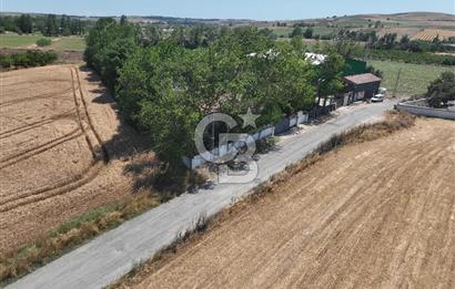ÇATALCA'DA KAÇIRILMAYACAK FIRSAT! 8.800 m² KURULU ÇİFTLİK