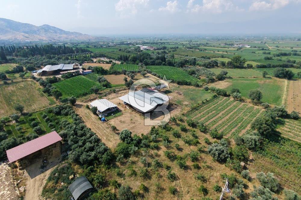 ÖDEMİŞ'TE İMARLI ALANA KOMŞU SATILIK 5900 m² MÜSTAKİL ÇİFTLİK