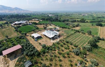 ÖDEMİŞ'TE İMARLI ALANA KOMŞU SATILIK 5900 m² MÜSTAKİL ÇİFTLİK