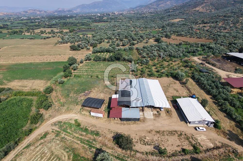 ÖDEMİŞ'TE İMARLI ALANA KOMŞU SATILIK 5900 m² MÜSTAKİL ÇİFTLİK