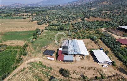 ÖDEMİŞ'TE İMARLI ALANA KOMŞU SATILIK 5900 m² MÜSTAKİL ÇİFTLİK