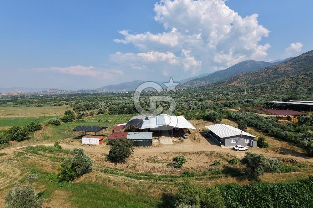ÖDEMİŞ'TE İMARLI ALANA KOMŞU SATILIK 5900 m² MÜSTAKİL ÇİFTLİK