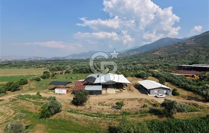 ÖDEMİŞ'TE İMARLI ALANA KOMŞU SATILIK 5900 m² MÜSTAKİL ÇİFTLİK