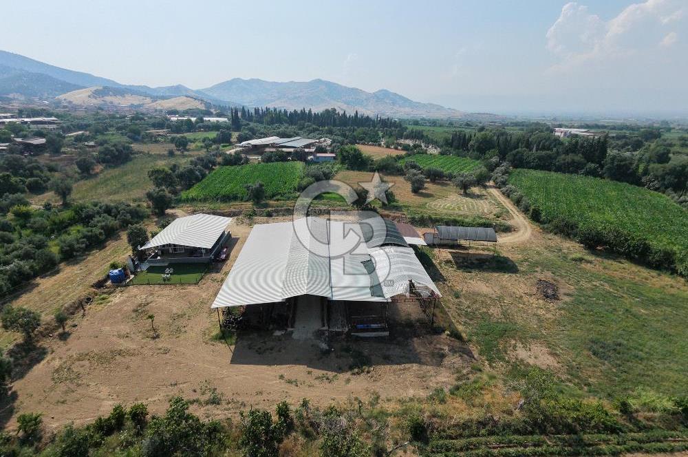 ÖDEMİŞ'TE İMARLI ALANA KOMŞU SATILIK 5900 m² MÜSTAKİL ÇİFTLİK