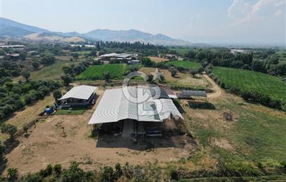 ÖDEMİŞ'TE İMARLI ALANA KOMŞU SATILIK 5900 m² MÜSTAKİL ÇİFTLİK