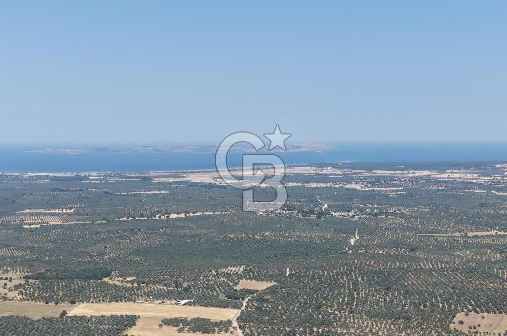 Geyikli Mecidiye Köyü'nde Villa İmarlı 1.812 m² Satılık Arsa