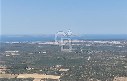 Geyikli Mecidiye Köyü'nde Villa İmarlı 1.812 m² Satılık Arsa