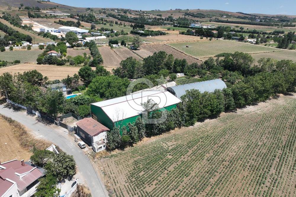 ÇATALCA'DA KAÇIRILMAYACAK FIRSAT! 8.800 m² KURULU ÇİFTLİK