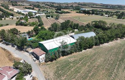 ÇATALCA'DA KAÇIRILMAYACAK FIRSAT! 8.800 m² KURULU ÇİFTLİK