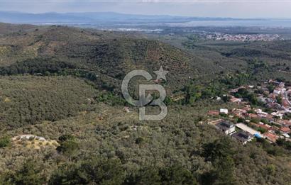 Mehmetalan Köyü'nde İmara Çok Yakın Deniz Manzaralı Zeytinlik